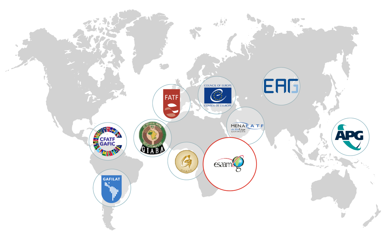 ESAAMLG members